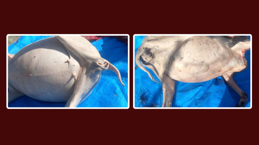 web-post-zone-1920-x-1080-px_978adc14