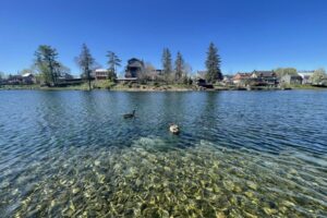 ecbc5c3d-0739-4479-87f6-fe386eb21325