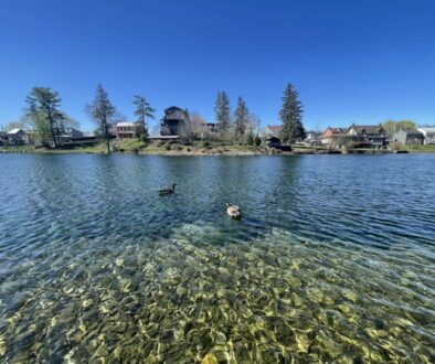 ecbc5c3d-0739-4479-87f6-fe386eb21325