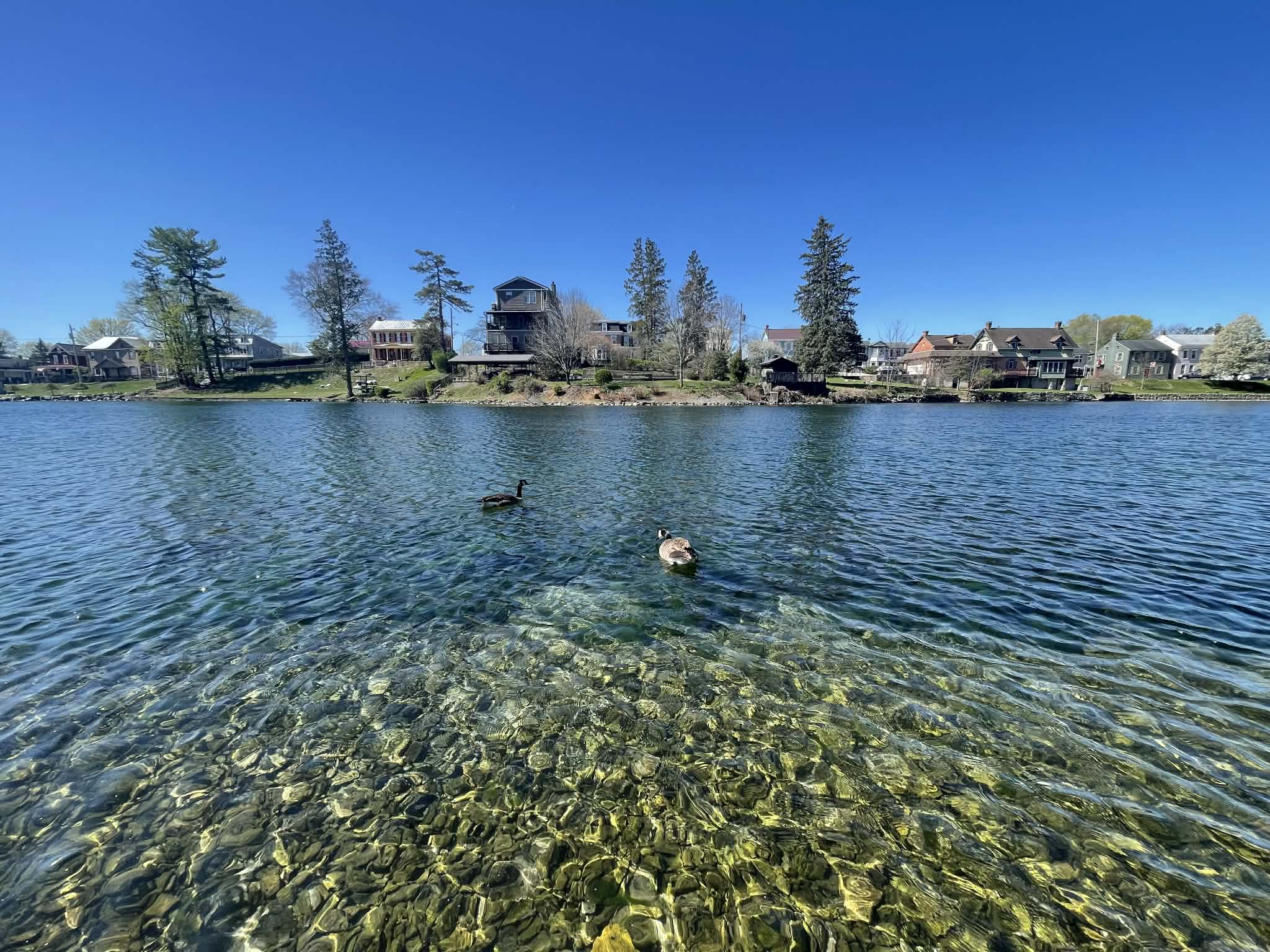 ecbc5c3d-0739-4479-87f6-fe386eb21325