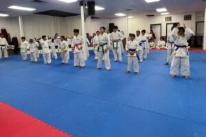 diska karate