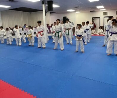 diska karate