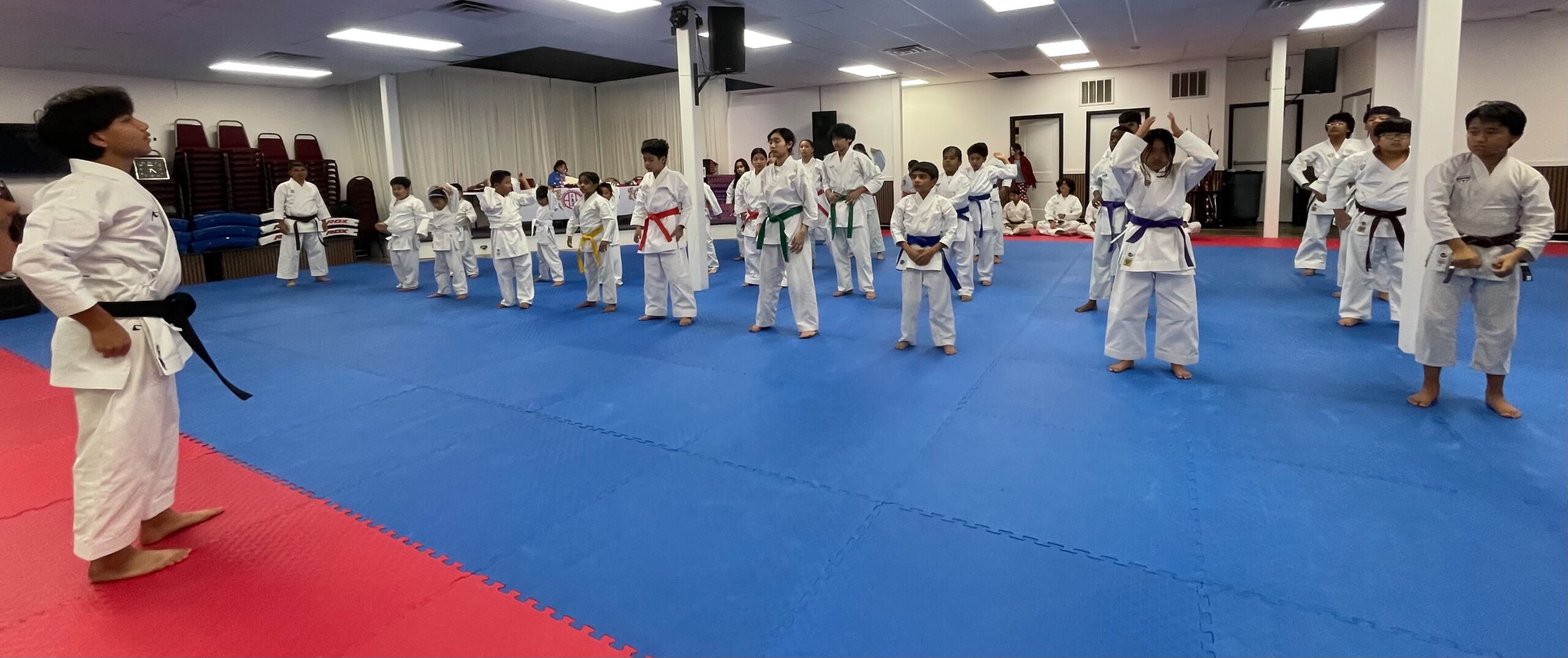 diska karate